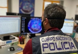 Detenido en Segovia un fugado de la justicia marroquí que pirateaba tarjetas de crédito