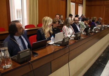 El otro Pleno de Córdoba: del 'piso patera' al cupo catalán y las citas imposibles en Atención Primaria