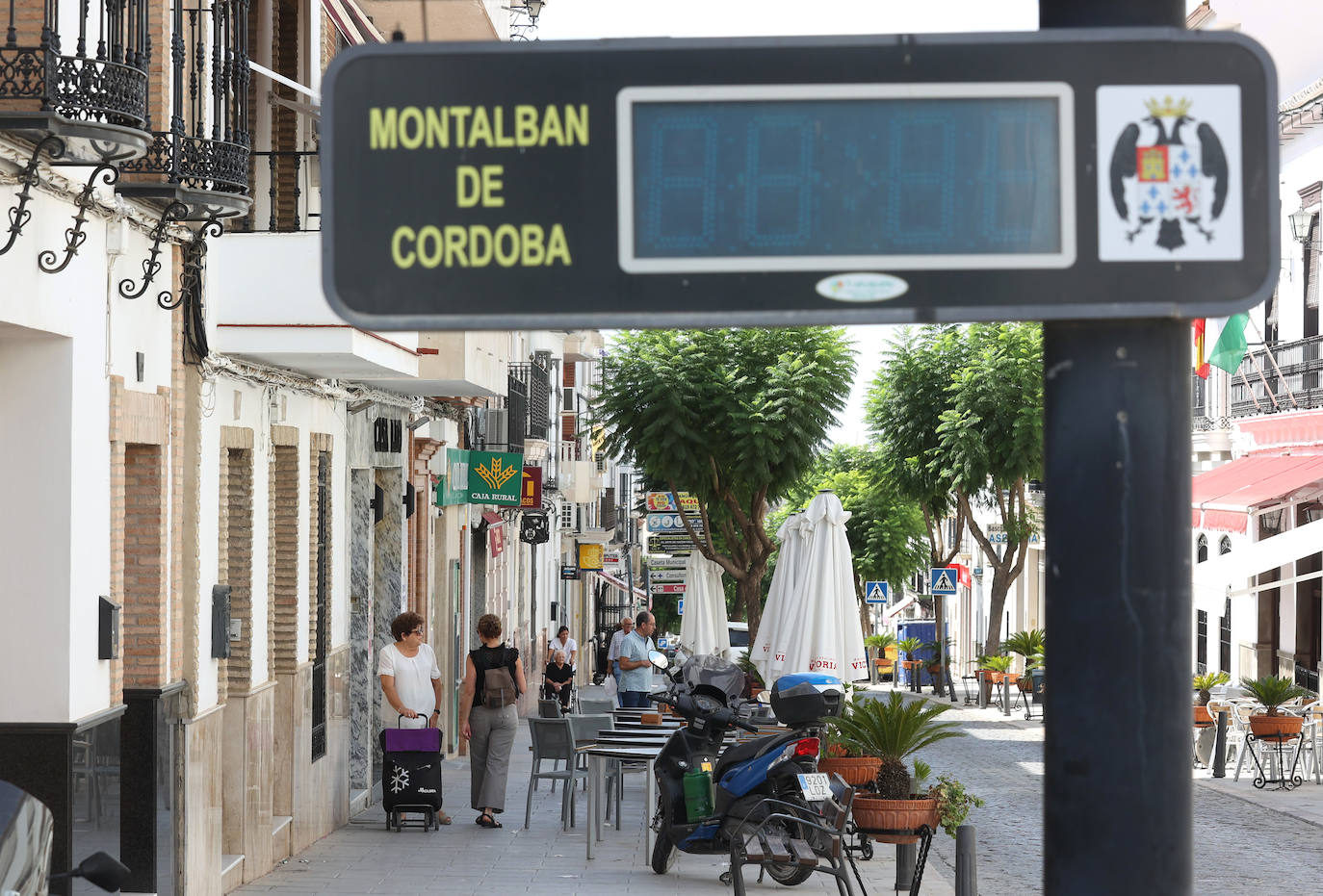 Fotos: La Rambla y Montalbán a la sombra del virus del Nilo