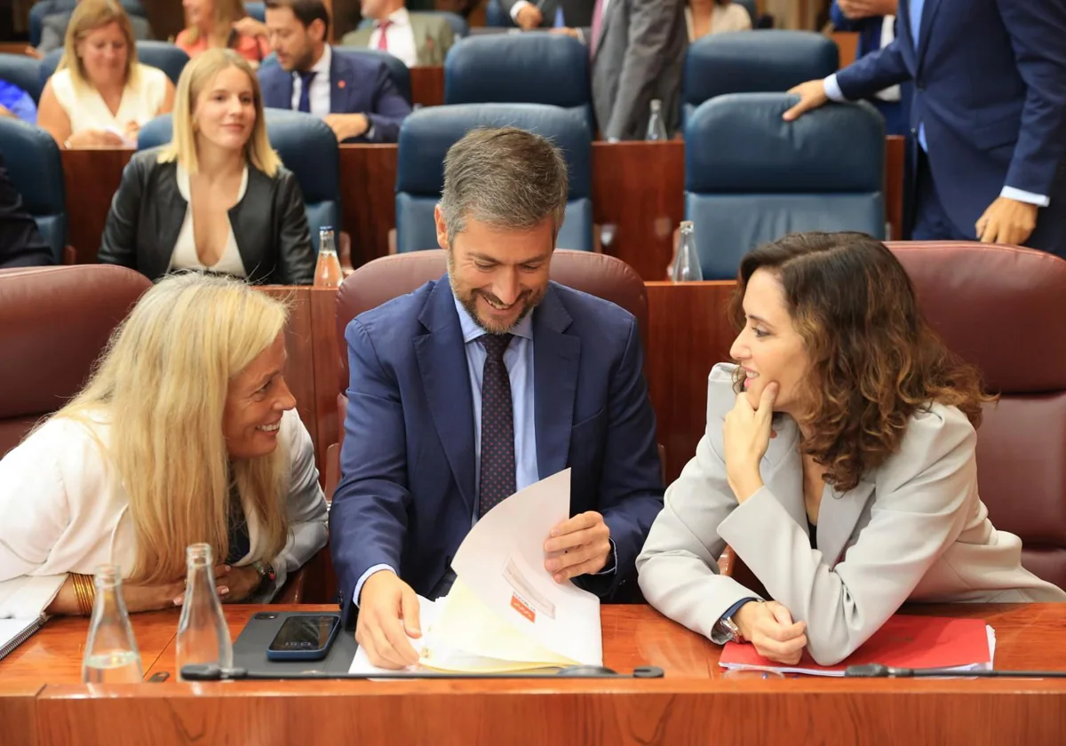 La consejería de Economía, Rocío Albert, habla con Ayuso en la Asamblea