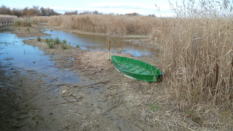 Un estudio del CSIC descubre pesticidas ilegales en las Tablas de Daimiel