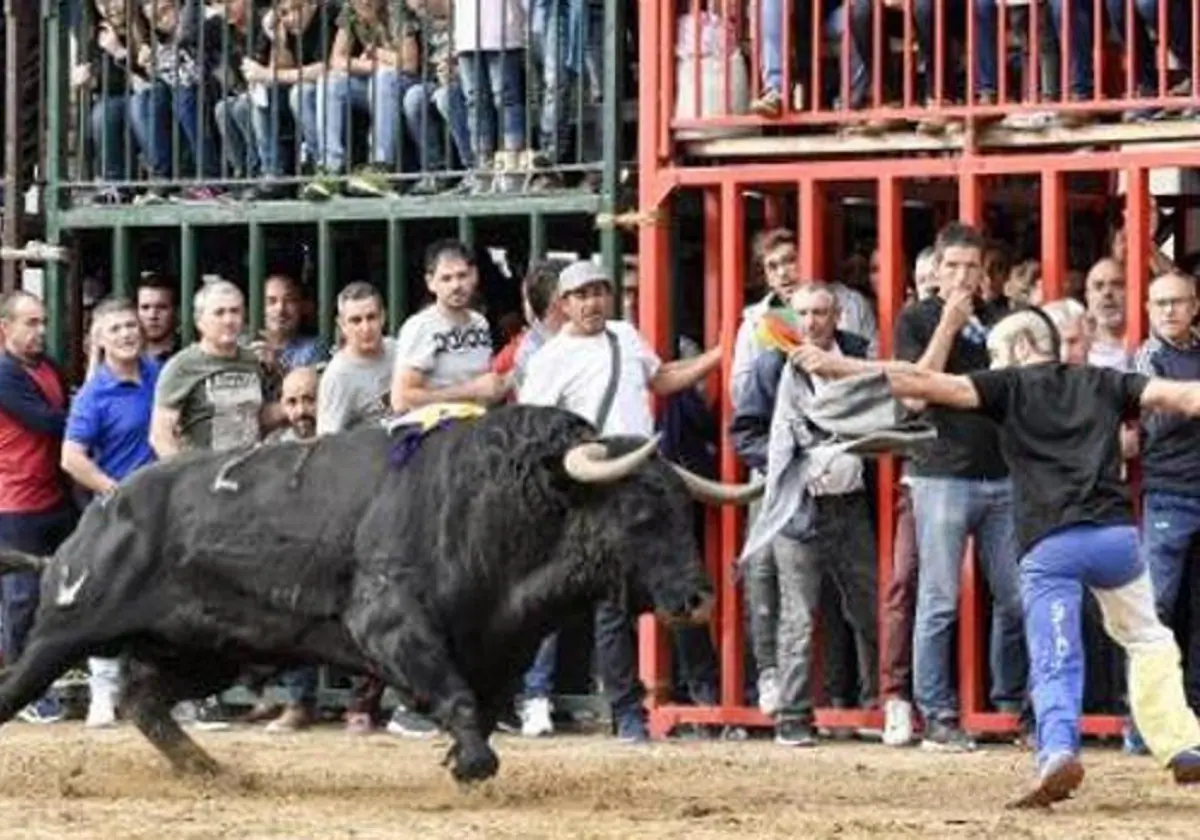 Un festejo taurino en Valencia, en imagen de archivo