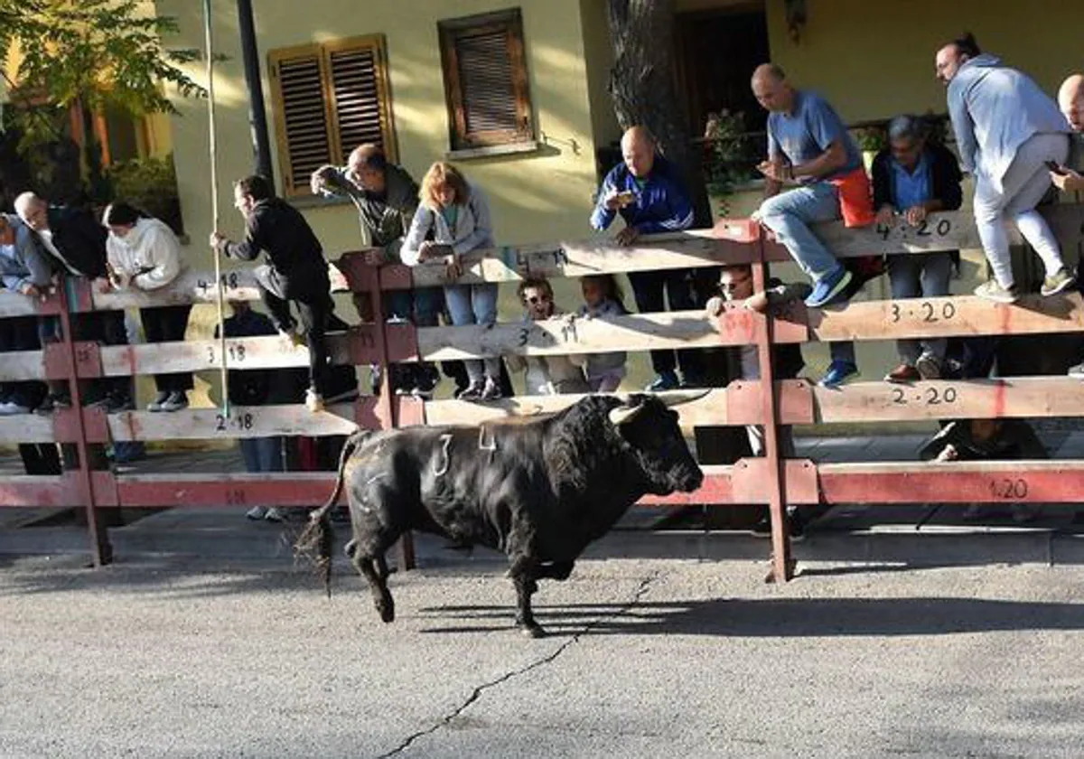 Encierro en Villaviciosa de Odón