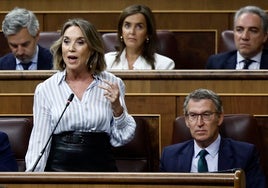 Sigue en directo la sesión de control al Gobierno en el Congreso