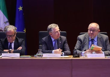 El presidente de la Audiencia de Córdoba, Francisco Sánchez Zamorano, presenta 'Los latidos del alba'