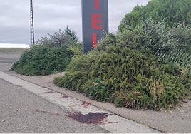 Tiroteado en Santa Olalla un joven de 19 años que ha resultado herido en las piernas