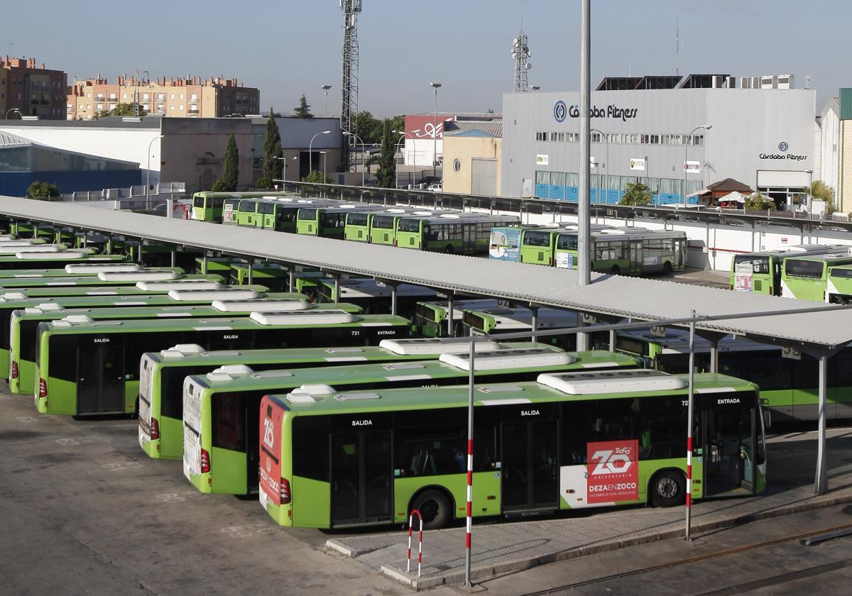 Parte de la flota municipal de autobuses