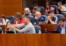 «El diputado Padilla apuntó y simuló disparar contra la bancada de Ayuso y su Gobierno y representó a quien es abatido por una bala»