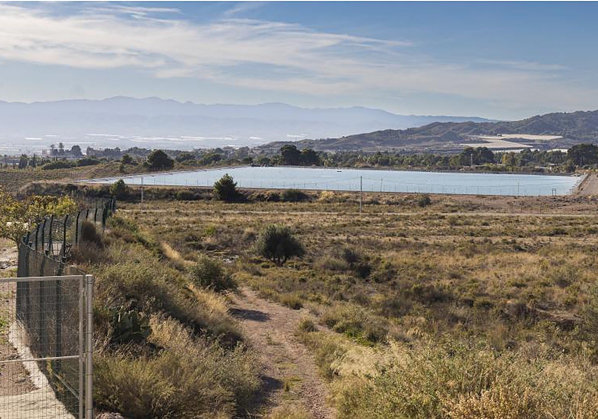 Balsa de riego en la Vega Baja en una zona dependiente de los trasvases del Tajo-Segura