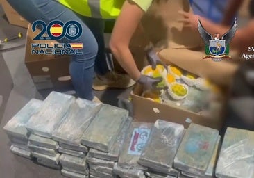 Desmantelan una organización criminal que enviaba cocaína desde Ecuador a través de contenedores aéreos