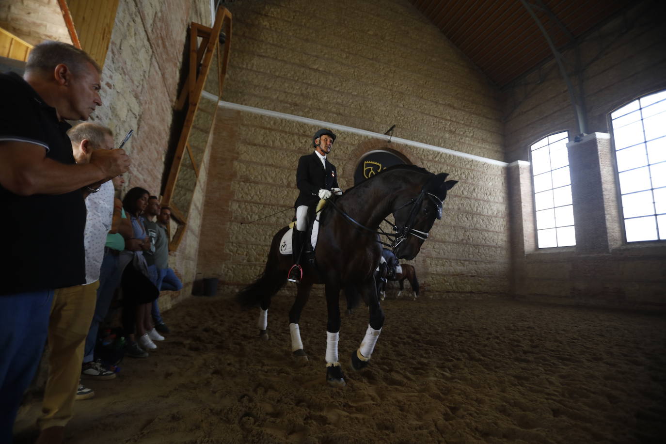 Fotos: el Concurso Morfológico de Pura Raza, en Caballerizas Reales