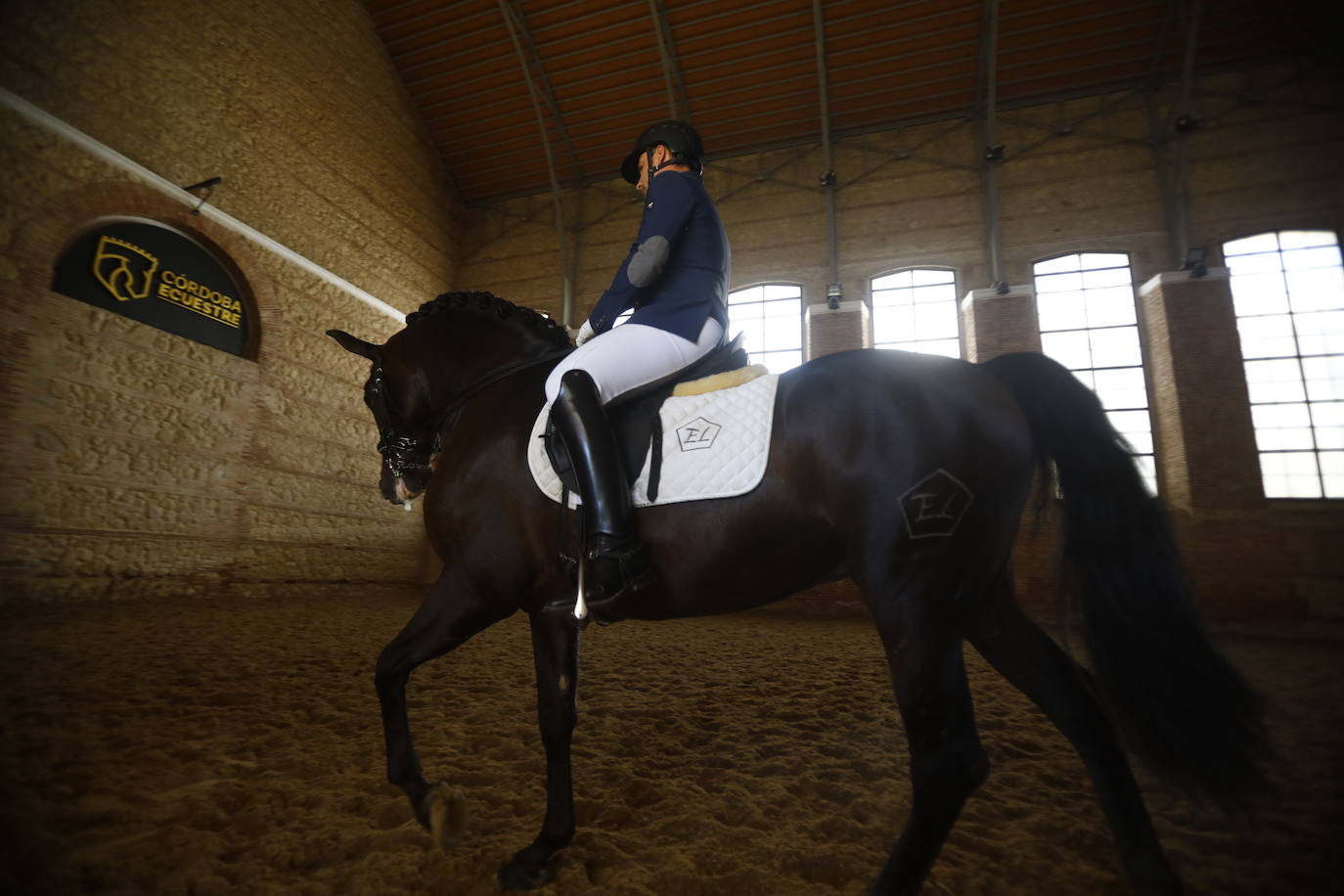 Fotos: el Concurso Morfológico de Pura Raza, en Caballerizas Reales