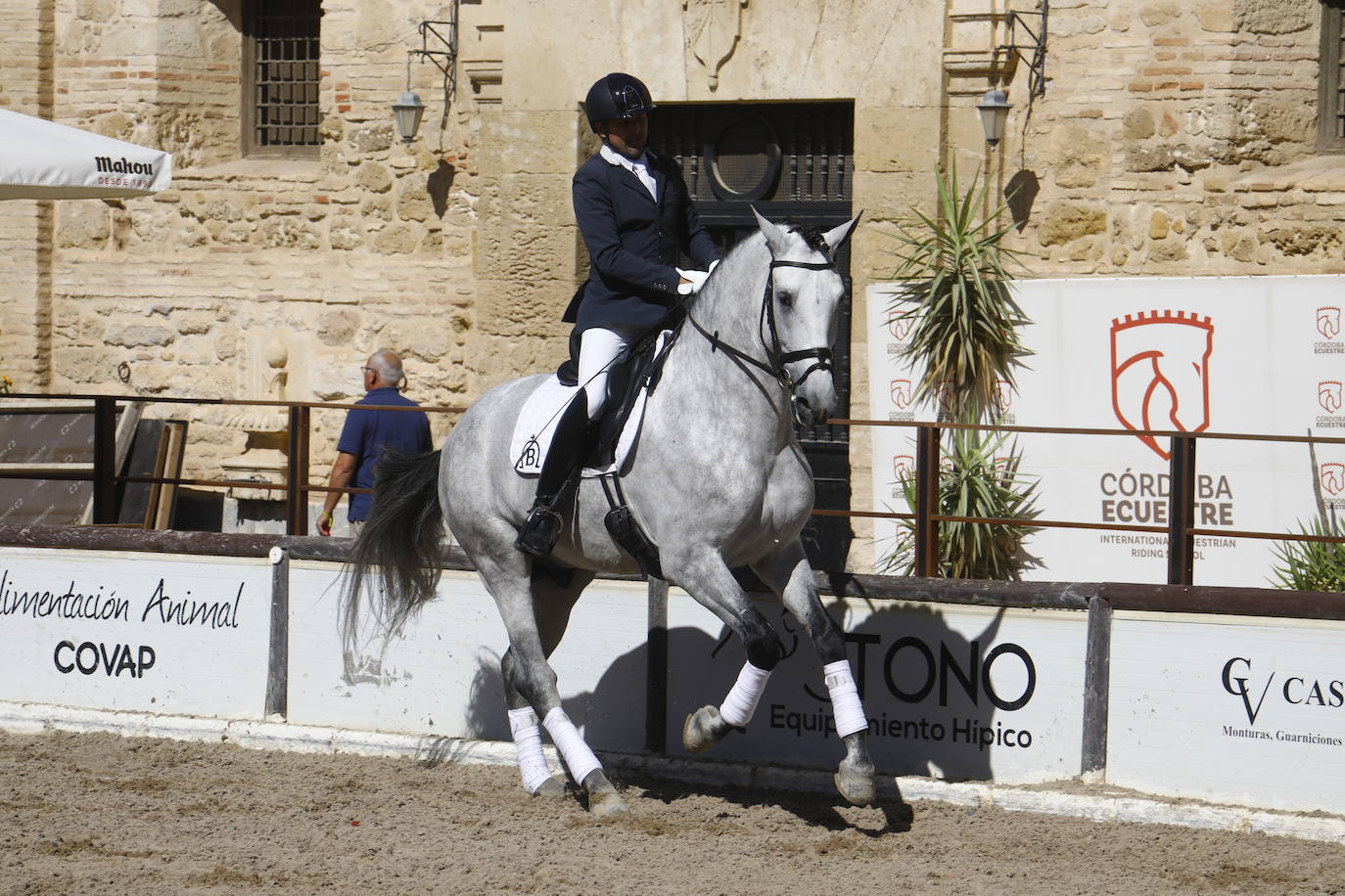 Fotos: el Concurso Morfológico de Pura Raza, en Caballerizas Reales