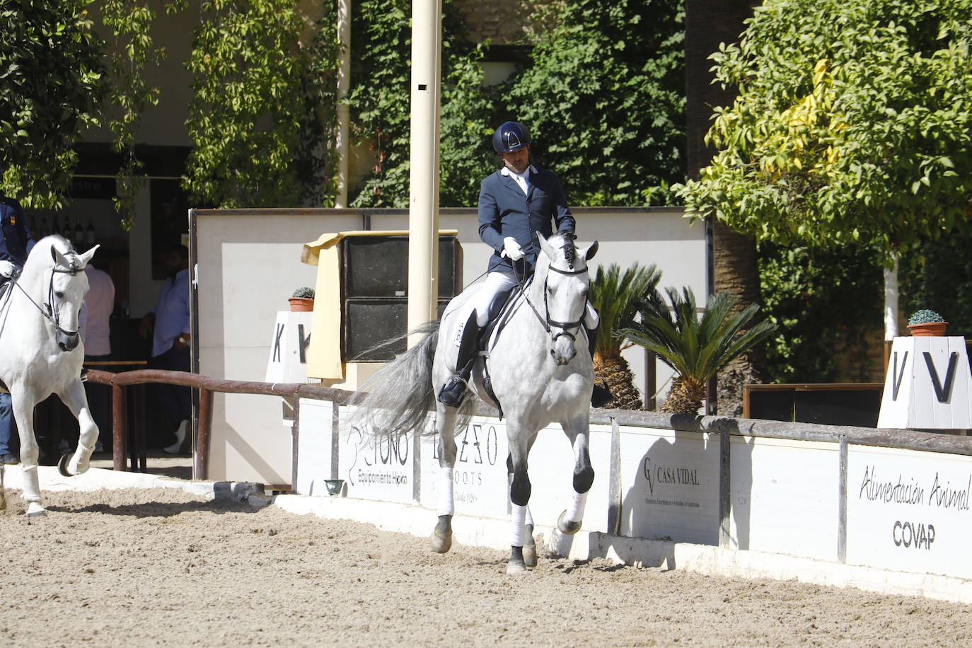 Fotos: el Concurso Morfológico de Pura Raza, en Caballerizas Reales