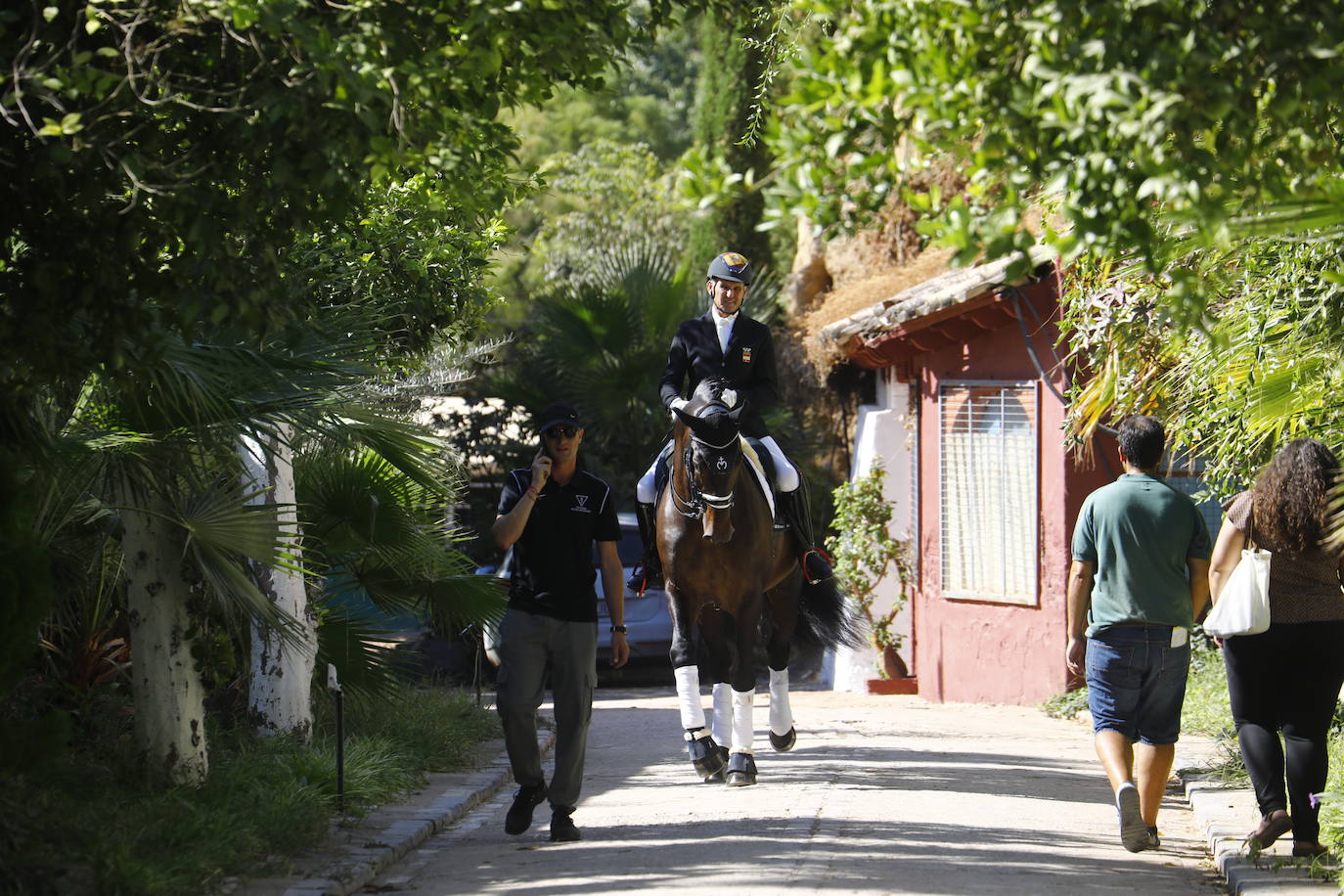 Fotos: el Concurso Morfológico de Pura Raza, en Caballerizas Reales