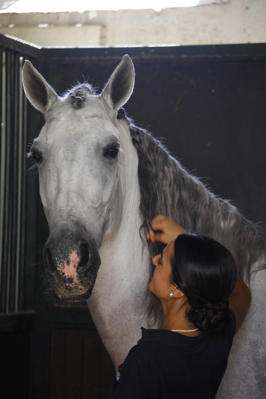 Fotos: el Concurso Morfológico de Pura Raza, en Caballerizas Reales