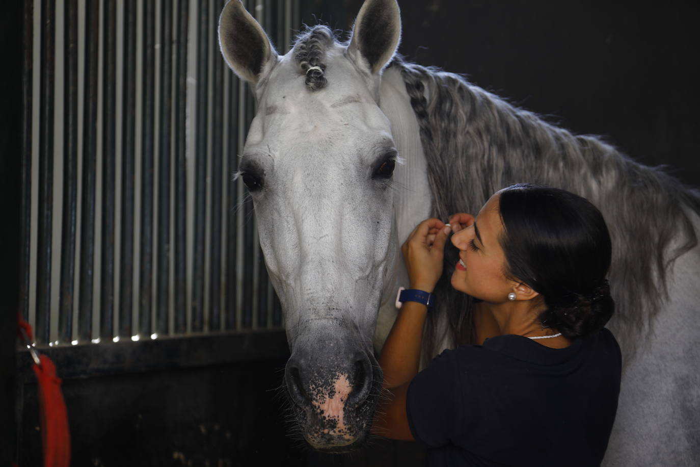 Fotos: el Concurso Morfológico de Pura Raza, en Caballerizas Reales