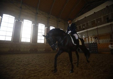 Fotos: el Concurso Morfológico de Pura Raza, en Caballerizas Reales