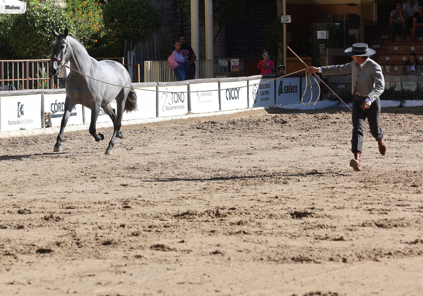 En imágenes, estética y excelencia en el Concurso Morfológico de Pura Raza en Cabalcor