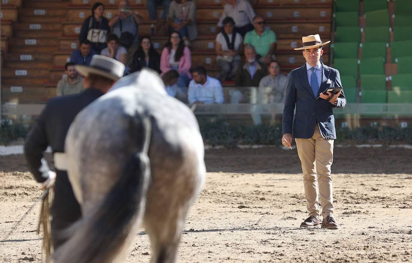 En imágenes, estética y excelencia en el Concurso Morfológico de Pura Raza en Cabalcor