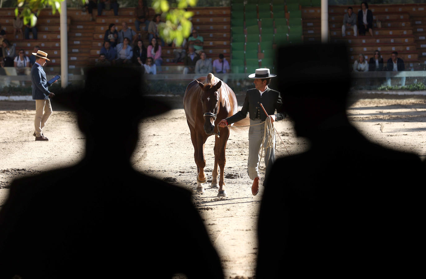 En imágenes, estética y excelencia en el Concurso Morfológico de Pura Raza en Cabalcor