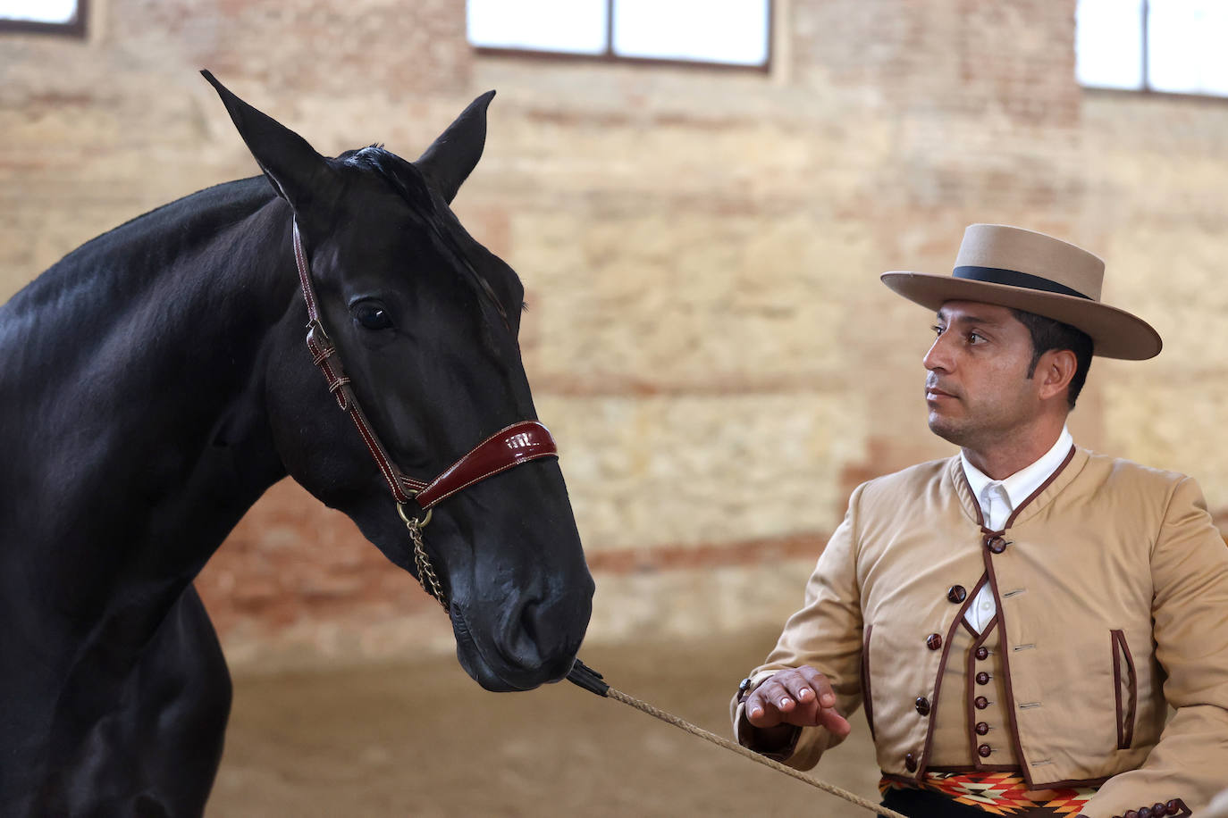 En imágenes, estética y excelencia en el Concurso Morfológico de Pura Raza en Cabalcor