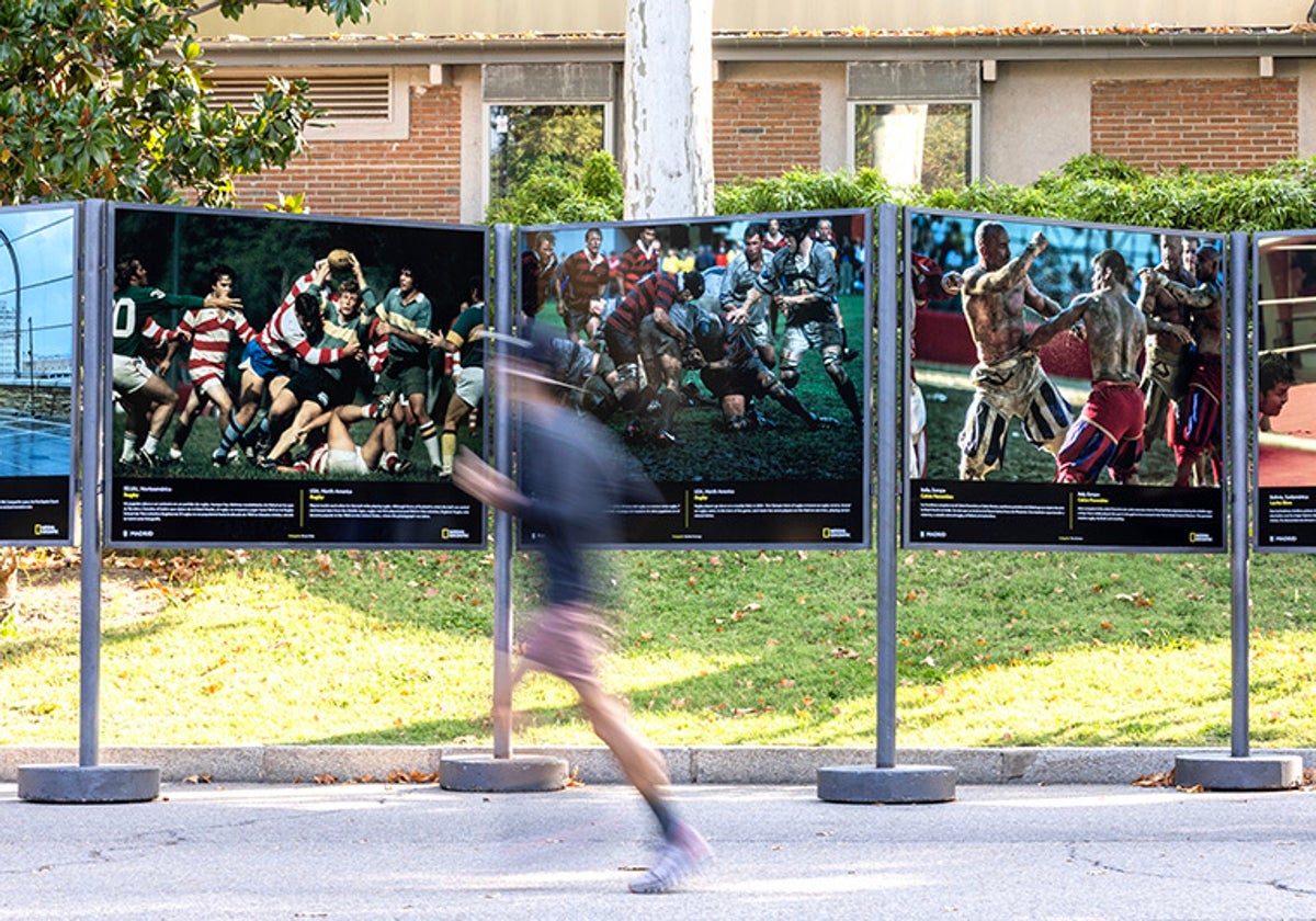 Vista de la exposición Historias de Deporte en el Parque del Retiro de Madrid