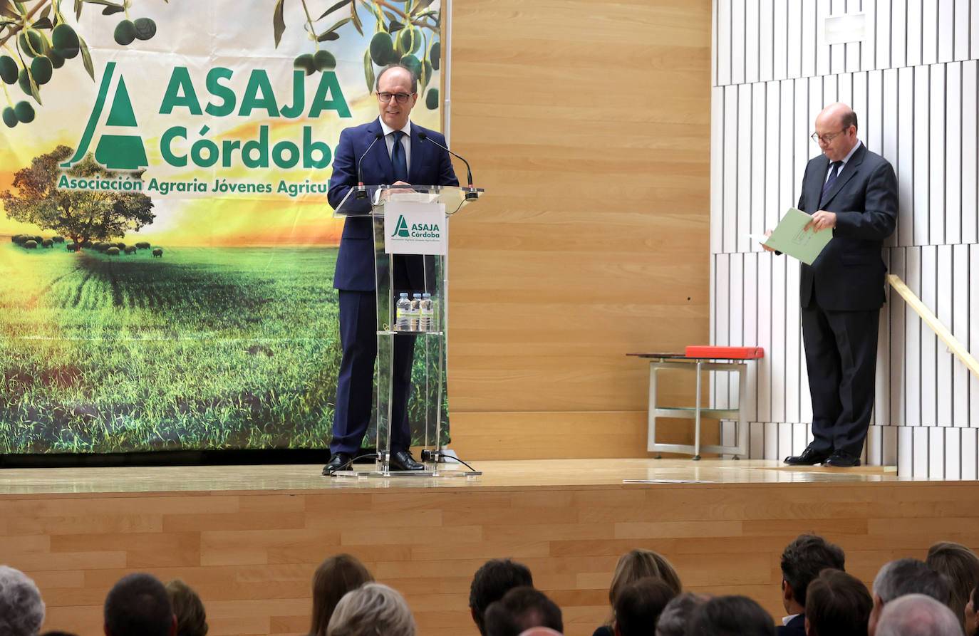 Fotos: El homenaje a Ignacio Fernández de Mesa en Córdoba