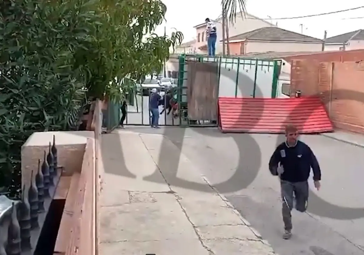 Momento de pánico entre los vecinos por el incidente donde resultó muerto un hombre por asta de toro