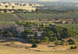 Casas de Hualdo, una oda al trabajo bien hecho en el campo