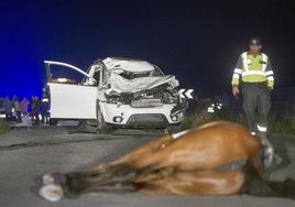 Los animales provocan 2.500 accidentes de tráfico al año en Andalucía