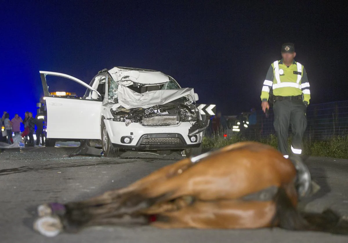 Accidente de tráfico con implicación de equinos