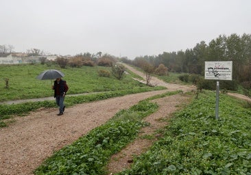 El alcalde da la «bienvenida» al proyecto para el Cordel de Écija y ensalza que traerá más vivienda