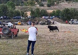 Denuncian la «brutal» muerte de un toro al chocar contra un 4x4 en un encierro campestre en Tendilla