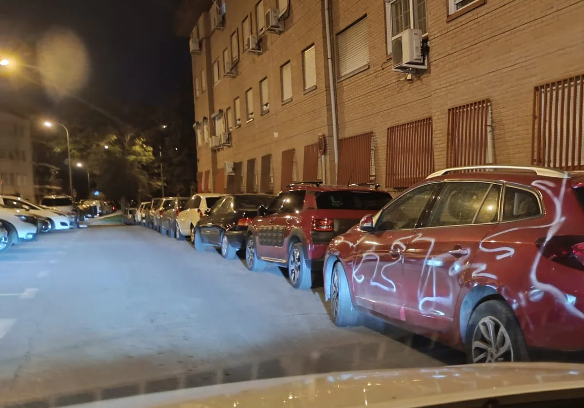 Uno de los coches vandalizados, cubierto con spray blanco