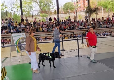 Las imágenes de la exhibición de perros guía organizada por la ONCE