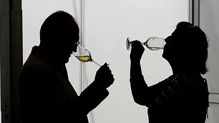 La Cata de Moriles: actividades, catas y guías de Expo Wine Moriles 2024 en Córdoba