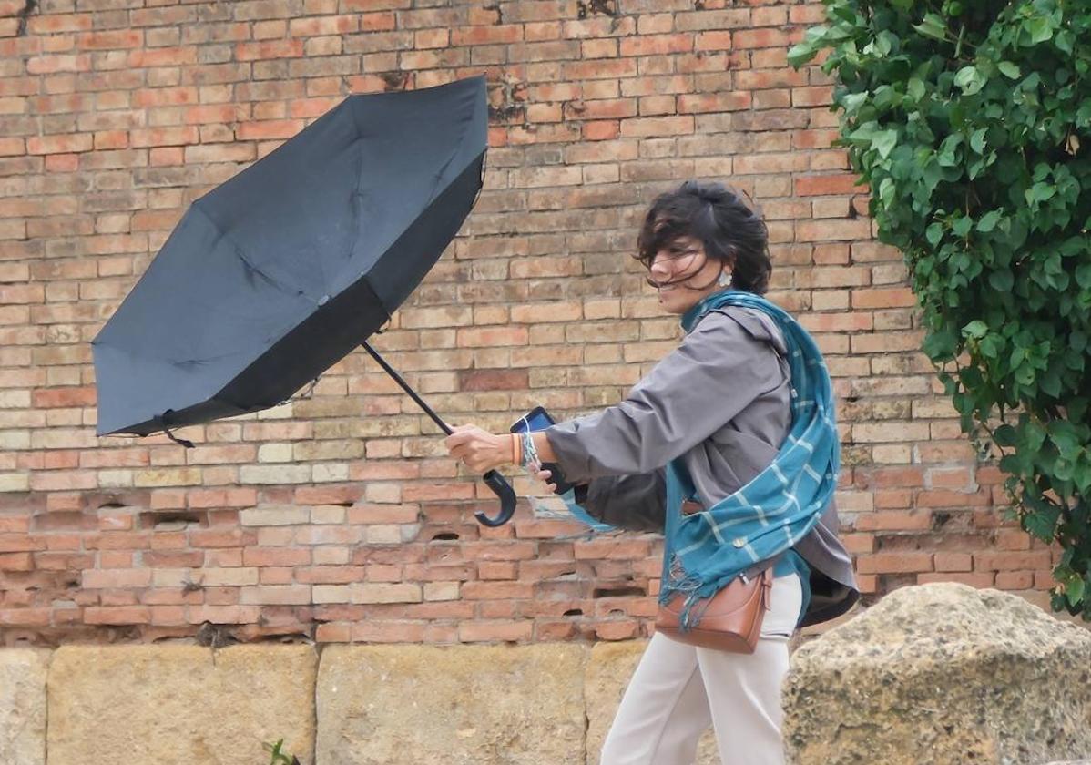 El viento está siendo el fenómeno más significativo del día