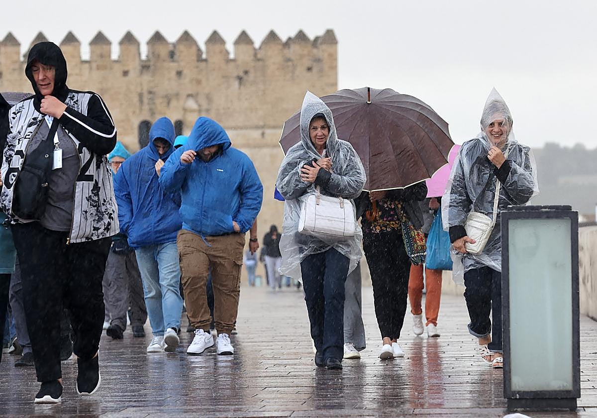 Turistas se protegen de la lluvia en el Puente Romano