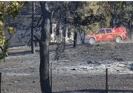 Madrid acaba el verano con menos incendios forestales: reduce a la mitad que en 2023 la superficie arbolada afectada