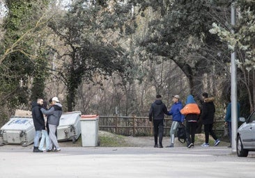 Un perro muerde a un mena que intentó robar el móvil a su dueña en Madrid