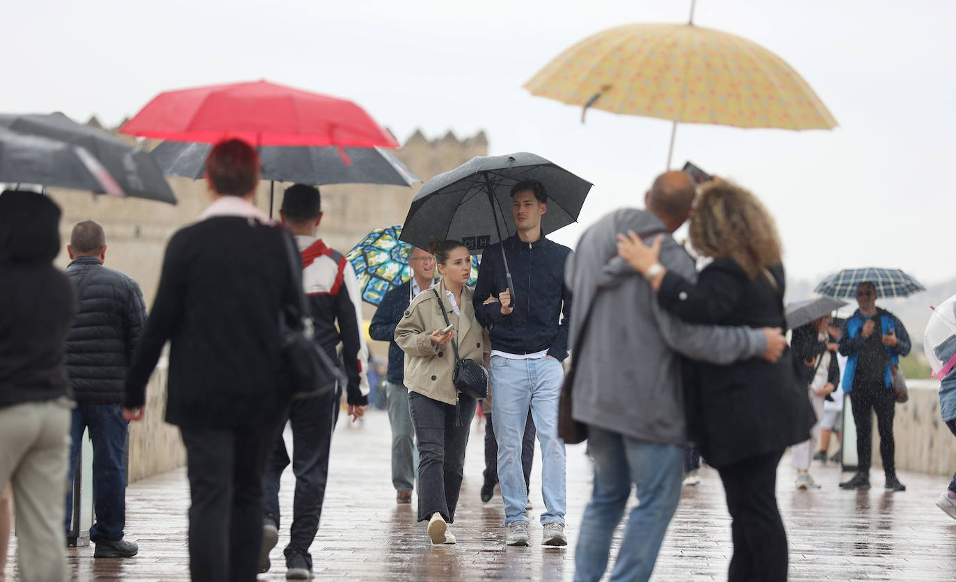 Fotos: el temporal Berenice se deja sentir en Córdoba