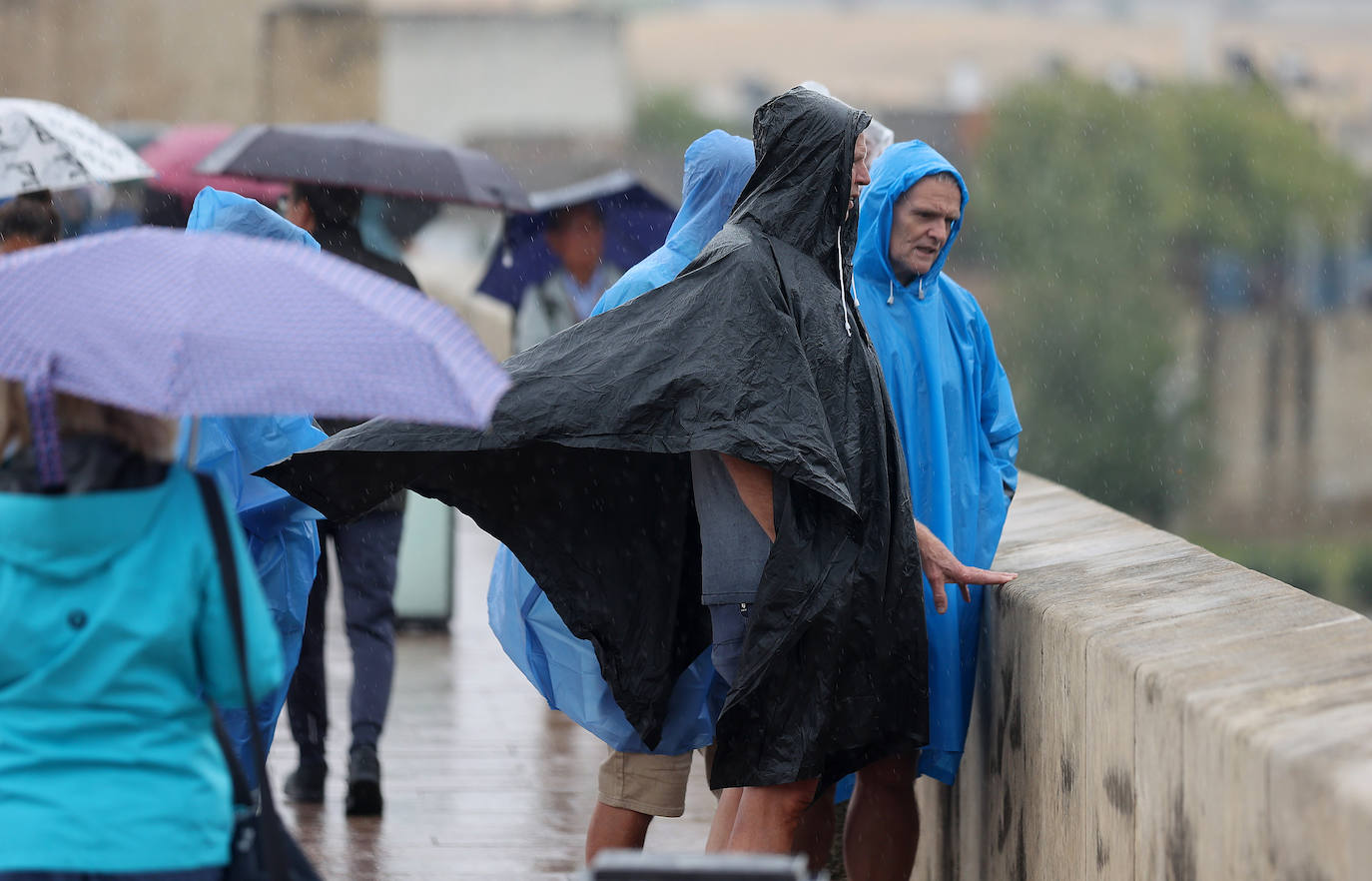 Fotos: el temporal Berenice se deja sentir en Córdoba