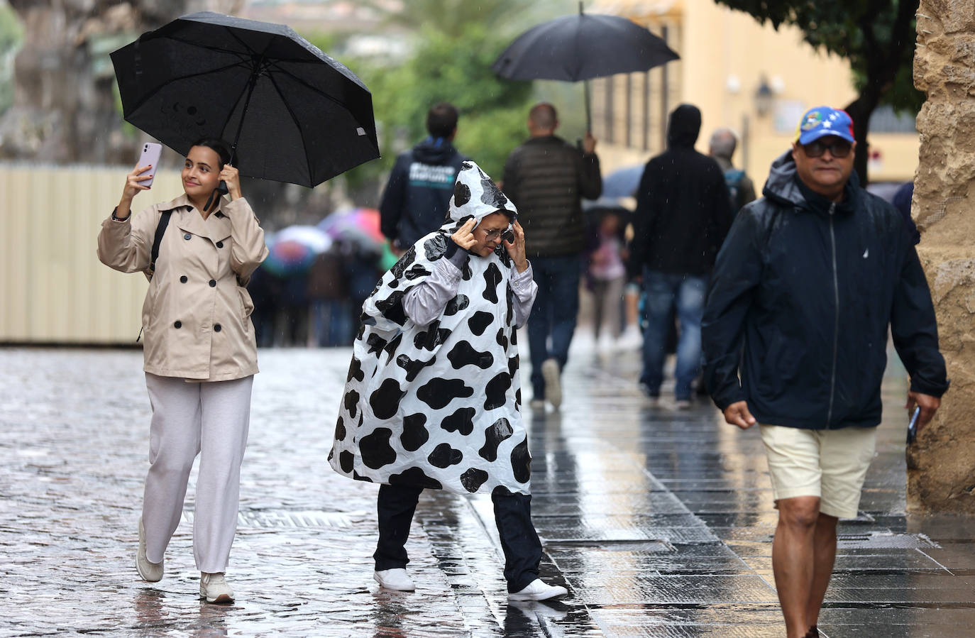 Fotos: el temporal Berenice se deja sentir en Córdoba