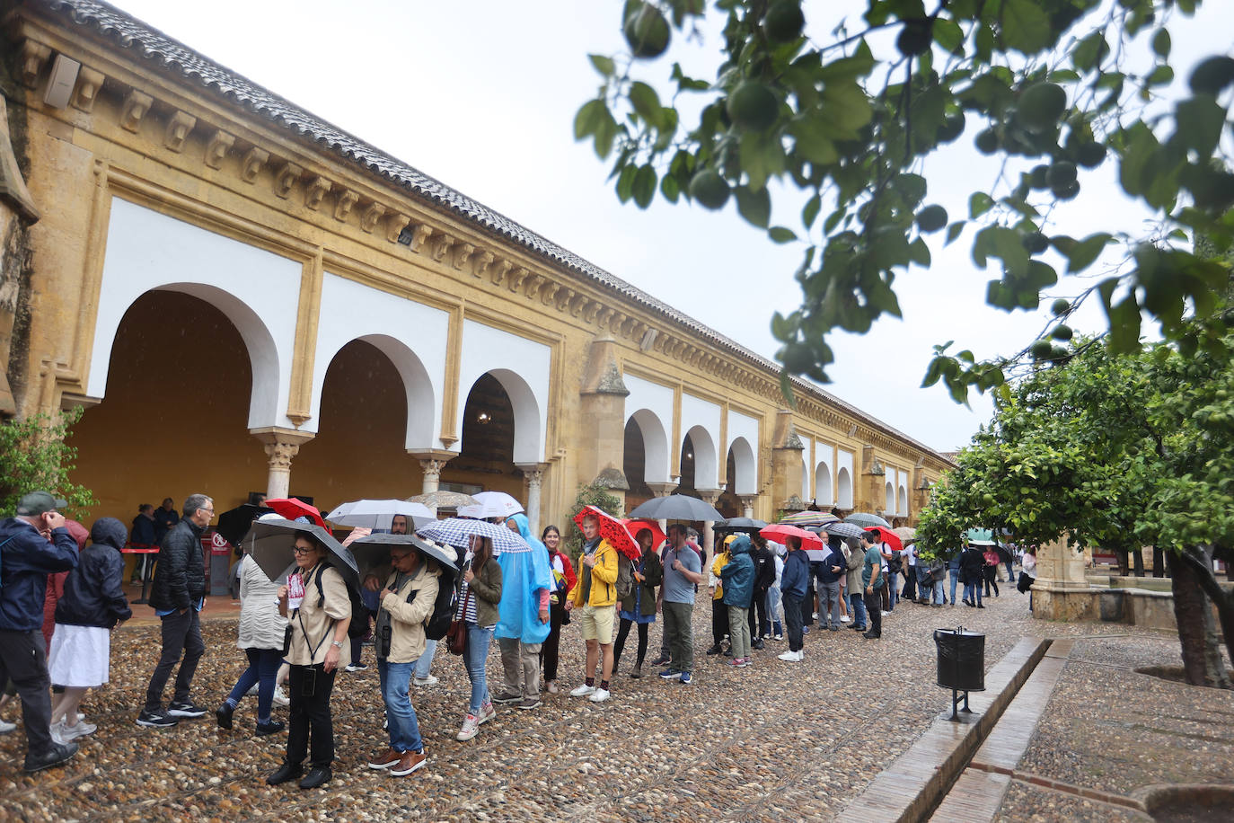 Fotos: el temporal Berenice se deja sentir en Córdoba