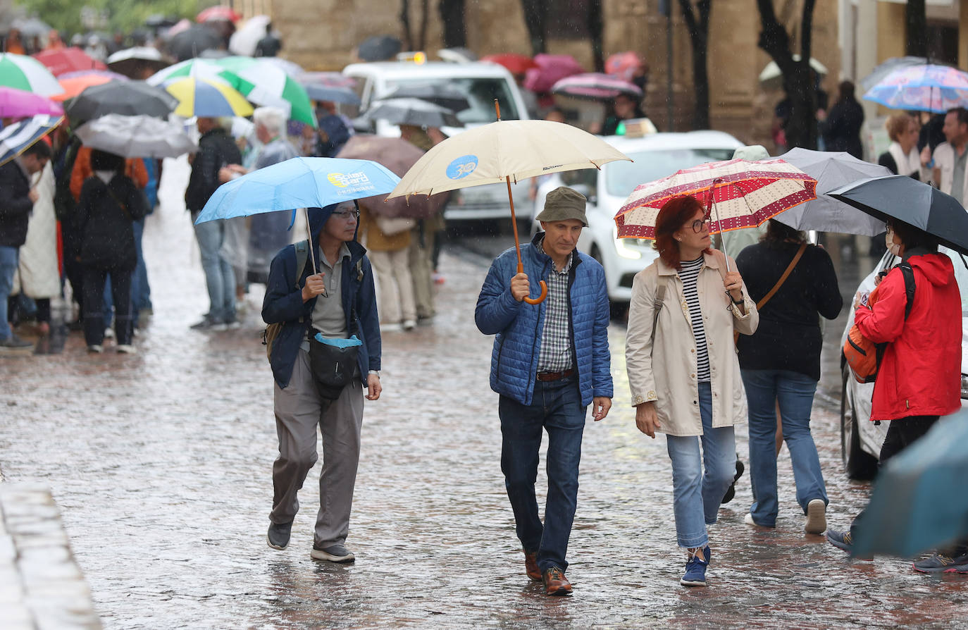 Fotos: el temporal Berenice se deja sentir en Córdoba