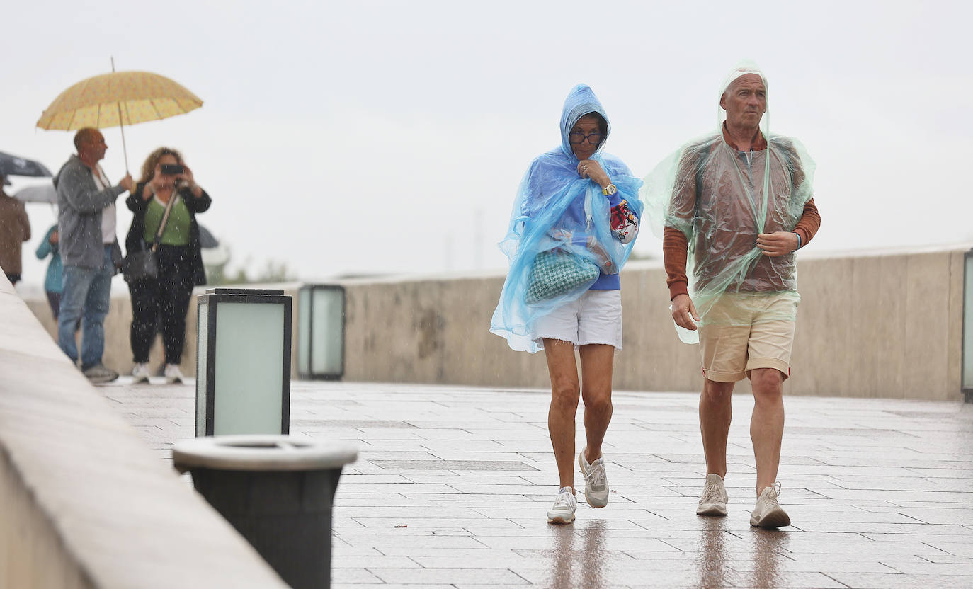 Fotos: el temporal Berenice se deja sentir en Córdoba