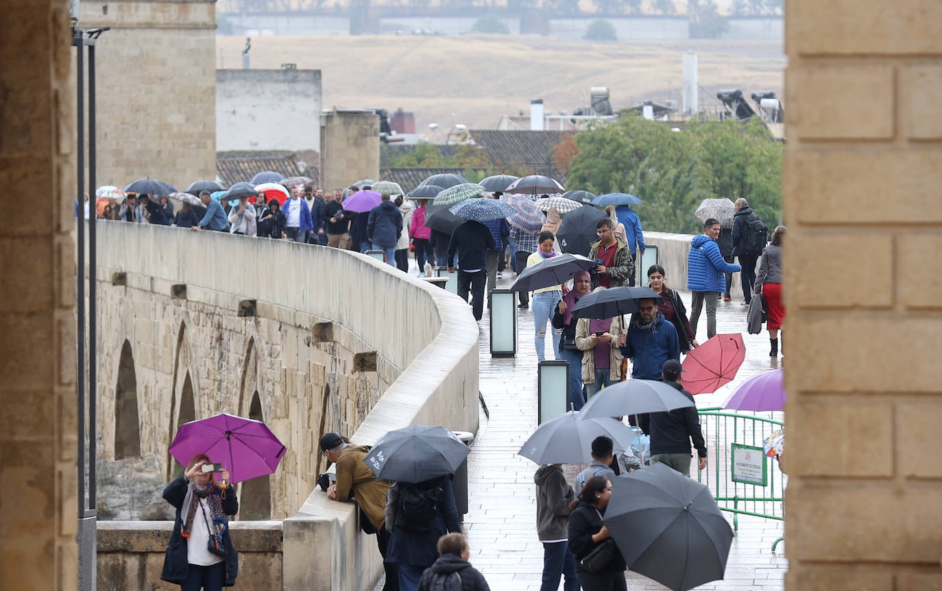 Fotos: el temporal Berenice se deja sentir en Córdoba