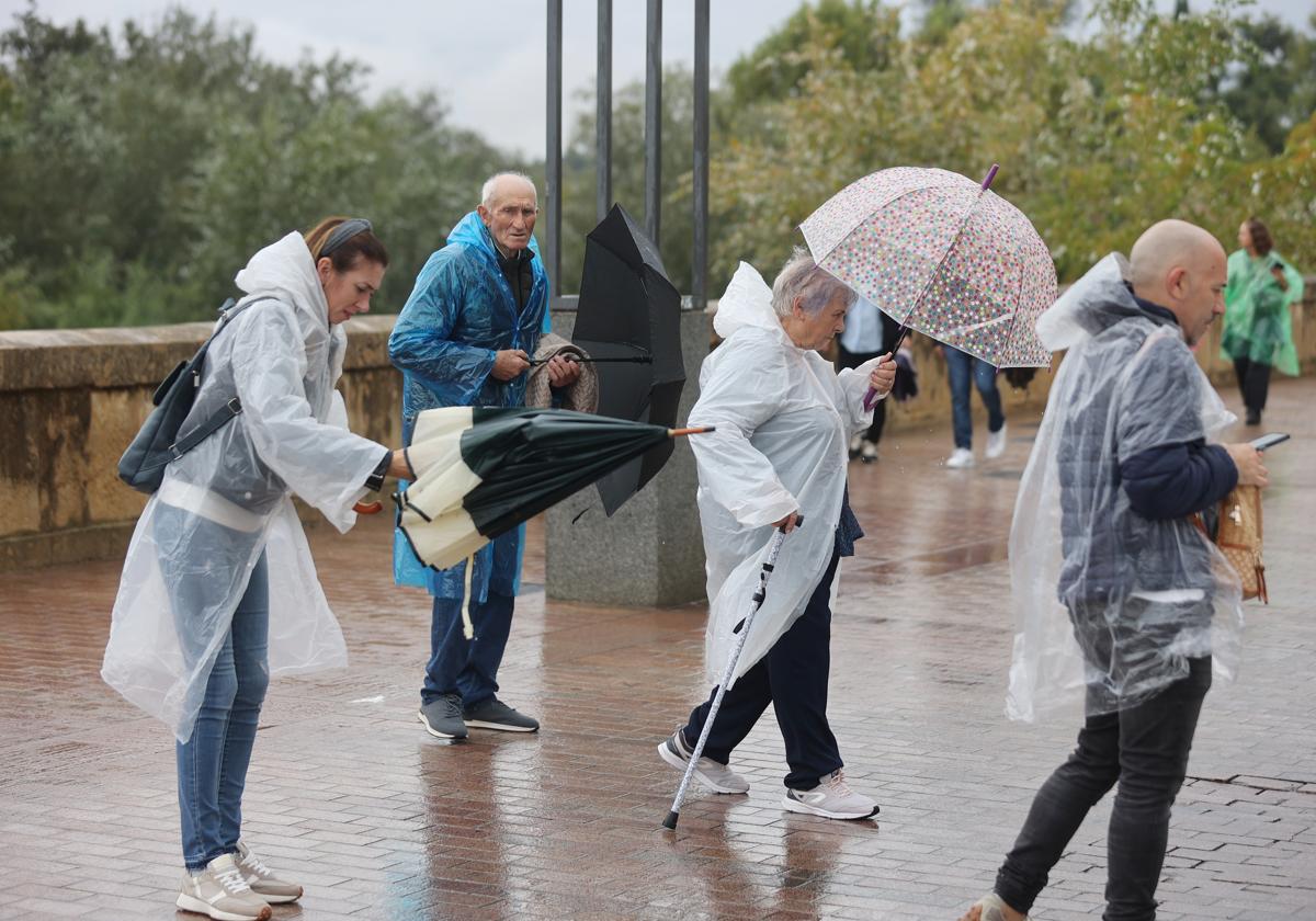 La lluvia lleva dejándose sentir en la capital toda la mañana, aunque sin incidencias graves