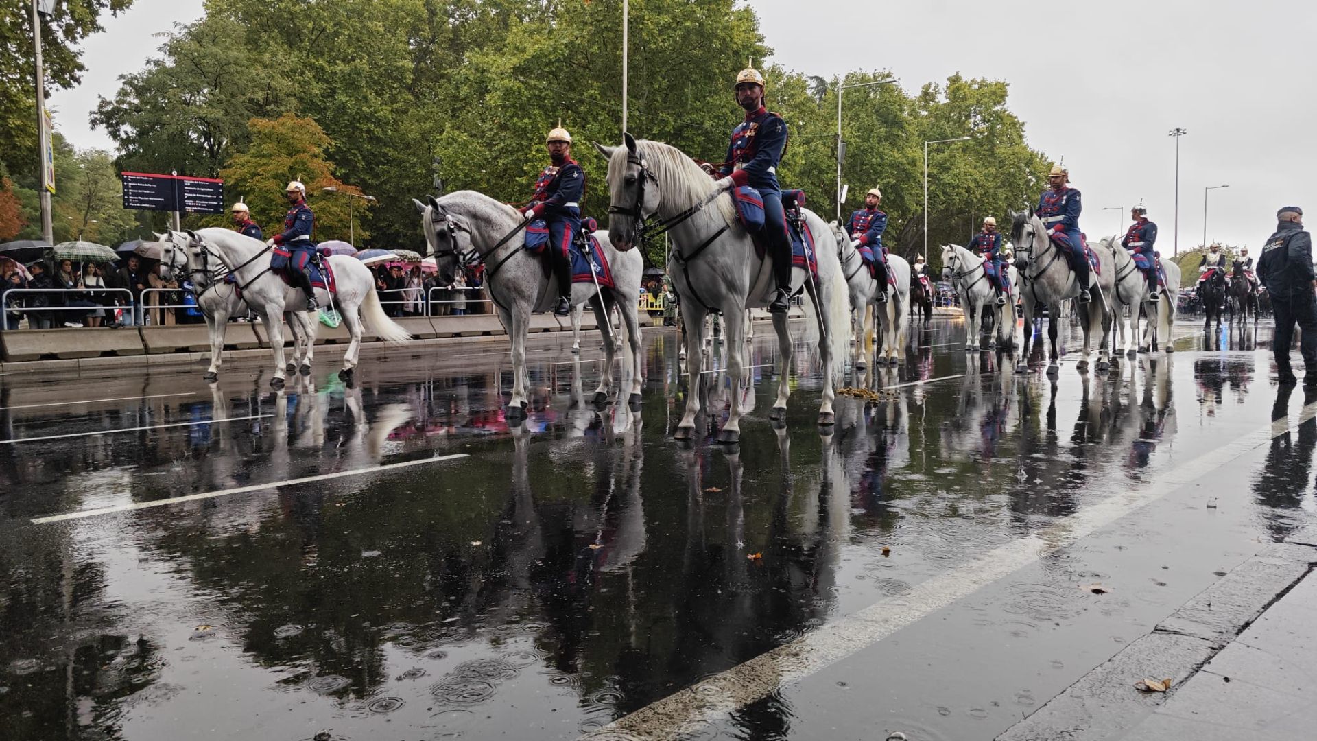 Unos 200 caballos de las Fuerzas Armadas han estado en la cita por el paseo del Prado y Recoletos